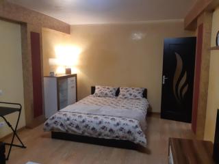 Apartament in centrul Iasului (Lapusneanu) - Iaşi - 1