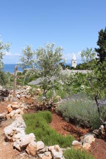 Apartment Mali Losinj 7879d - 4