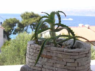 Apartments with WiFi Postira, Brac - 11428 - Postira - 4