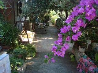 Seaside holiday house Sevid, Trogir - 11542 - 6