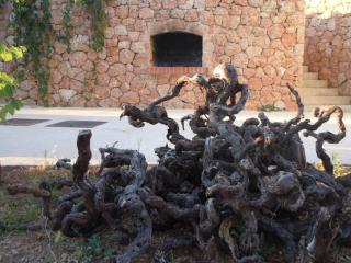 Apartments by the sea Sveta Nedilja, Hvar - 13753 - 3