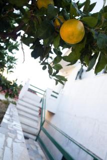 Apartments with a parking space Slatine, Ciovo - 13922 - Slatine - 4