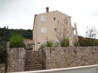 Apartments and rooms by the sea Lopud, Elafiti - 14013 - Lopud - 9
