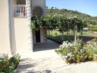Apartments and rooms by the sea Lopud, Elafiti - 14013 - Lopud - 3