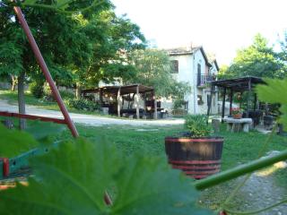 Agroturizam Toni - Motovun - 3