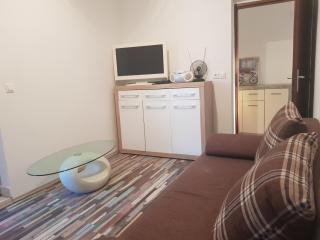 Apartment Zubovici 13966b - Zubovići - 2