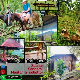 Oasis del Tortuguero - Cariari - 8