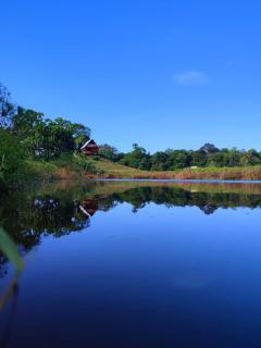 Oasis del Tortuguero - Cariari - 5