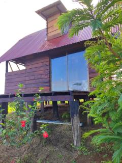 Oasis del Tortuguero - Cariari - 1