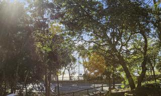 Little Cove Court - Apt 2 - Noosa Heads - 4