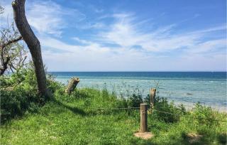 Seestern - Gollwitz - 5