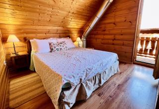 Chalet cosy au cœur du Dévoluy avec vue magnifique - Le Dévoluy - 3