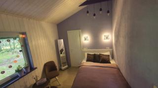 VIP Yellow dream house Sodyba Geras geltona žalia raudona violetinė - Anykščiai - 2