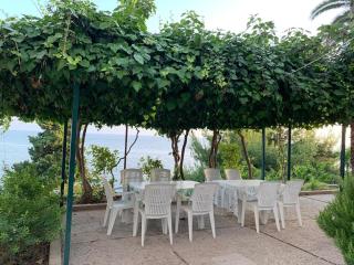 Apartments by the sea Zaostrog, Makarska - 10431 - 6