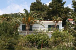 Apartments by the sea Zaostrog, Makarska - 10431 - 0