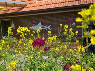 Minsener Warft - Wangerland - 1