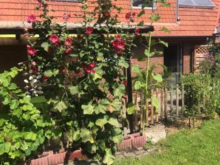 Minsener Warft - Wangerland - 6
