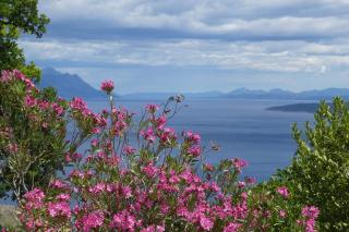 Holiday house with a parking space Lokva Rogoznica, Omis - 18247 - 0