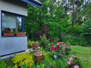 Willa Aleksandria - 7