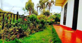Green Gregory Villa Nuwara Eliya - Nuwara Eliya - 6