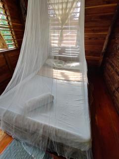 Payag n' Kapitan, Experience pinubre living - Siquijor - 1