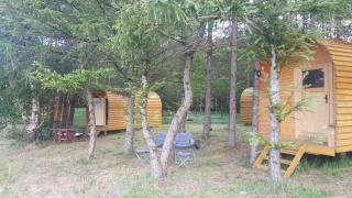 Glamping Pod im Wald - 2