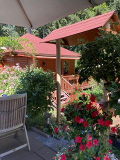 B&B Porcini - Ermelo - 6