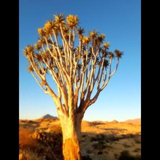 Achab Self Catering Tent - Usakos - 0