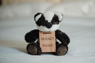 The Bonnie Badger - 4