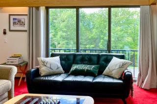 Sugarloaf Mountain Treasure - Carrabassett - 7