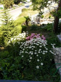 Vila Grozdanoski - 2