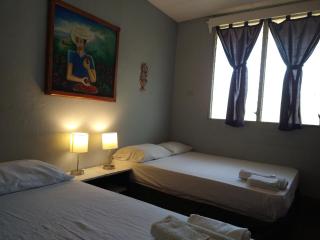 Hostal Harvest House - León - 5