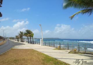 Studio de charme - Aly'Zen - Magnifique vue mer, les pieds dans l'eau - Le Moule - 3