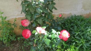 Apartments by the sea Malinska, Krk - 19965 - 4
