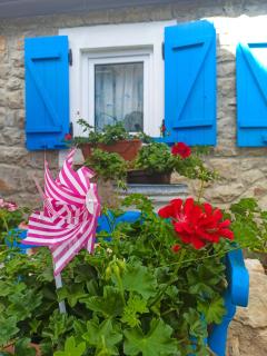 Apartments by the sea Martinscica, Cres - 14334 - Martinšćica - 6