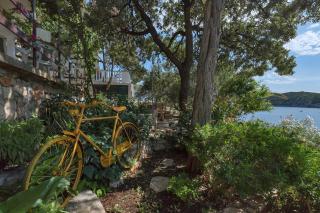 Apartments by the sea Cove Pokrivenik, Hvar - 14345 - Zastražišće - 3