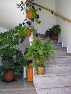 Apartments with a parking space Opric, Opatija - 14349 - 3