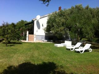 Holiday house with a parking space Kozino, Zadar - 14464 - 0