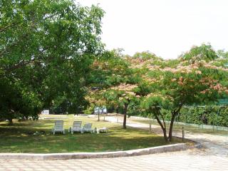 Apartments by the sea Sveti Filip i Jakov, Biograd - 14319 - 4