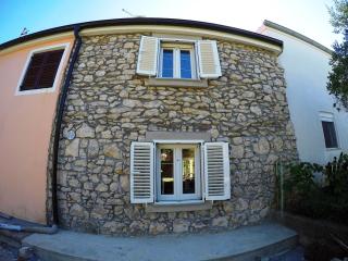 Holiday house with a parking space Nin, Zadar - 14295 - Nin - 0