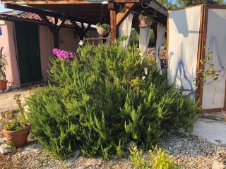 Holiday house with a parking space Cove Osibova, Brac - 16372 - Milna - 7