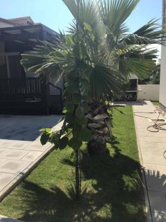 Apartments with parking space Pakostane, Biograd - 16579 - 2