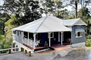 Addisons Baroon Pkt - 6