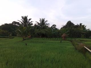 Karu Homestay - 5