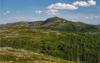 Gorgeous Home In Aurdal With Wifi - Aurdal - 3