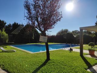 Quinta Vale do Homem - Amares - 6