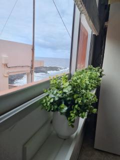 Apartamento La Barranquera - La Laguna - 8