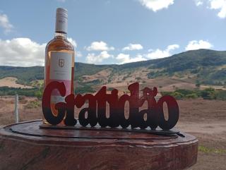 Chalés de Hórus - 1