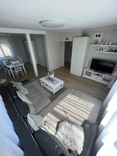 VillaVõru, SAUNA, GARDEN, BARBECUE, PLAYHOUSE and AIR CONDITIONING - Võru - 3