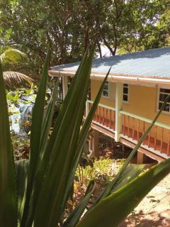 Atlantis cove Tobago - - 5